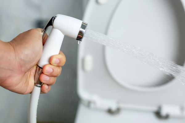 Bidet Repair - Bidet Repair Naples, Florida